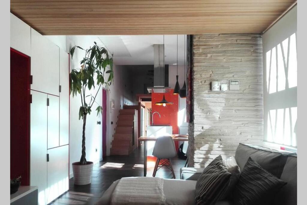 Appartement Cozy Designer Apart / Acogedor Apartamento De Diseno ● Wifi - Jacuzzi - A/c Steamsauna *